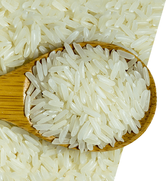 1121 Basmati Rice Suppliers